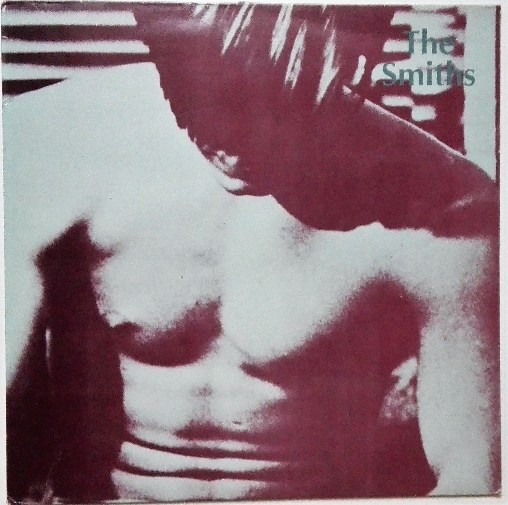 The Smiths: the complete Flesh picture | Andy Earhole