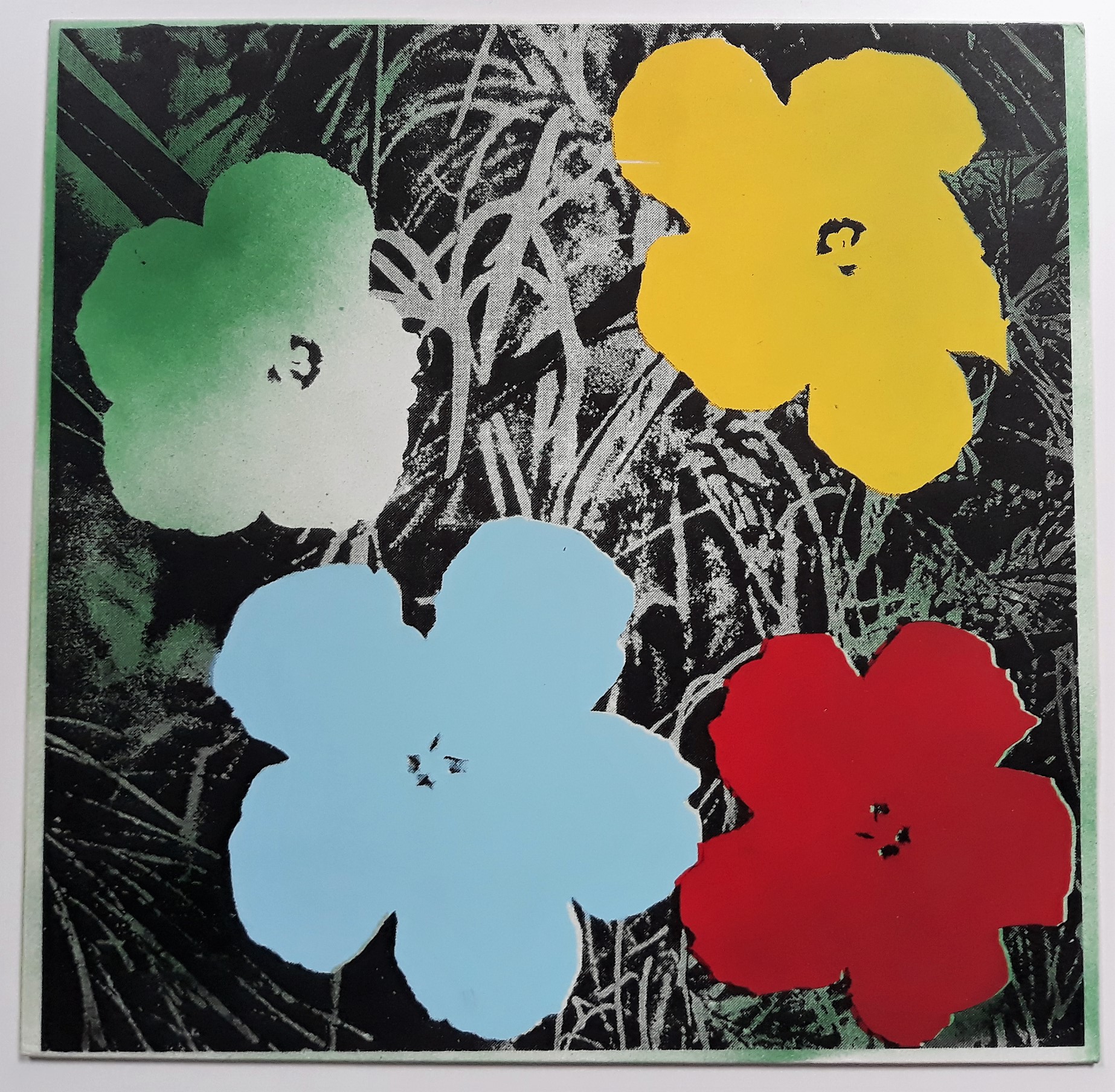 Silkscreened flowers on Literature cover | Andy Earhole