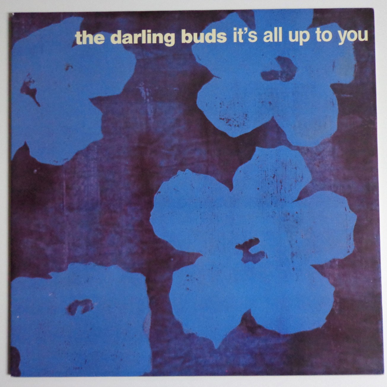 darling-buds-warhol-cover-1